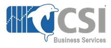 CSIBS logo
